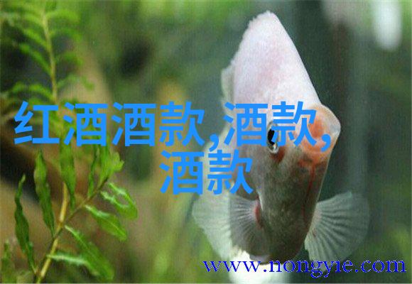 哑女王Sphynx猫咪为什么会失去毛发