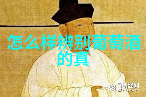 nba史上最佳前锋后卫阵容如何影响其在得分榜上的表现