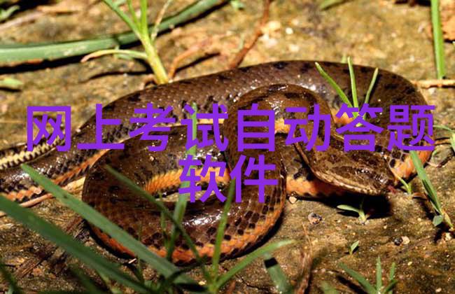 碧安帝山迪酒庄揭秘红酒文化的神秘之谜