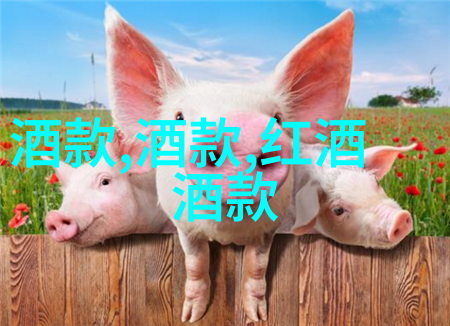 揭秘我的收藏中心展开珍贵回忆与未来的探索