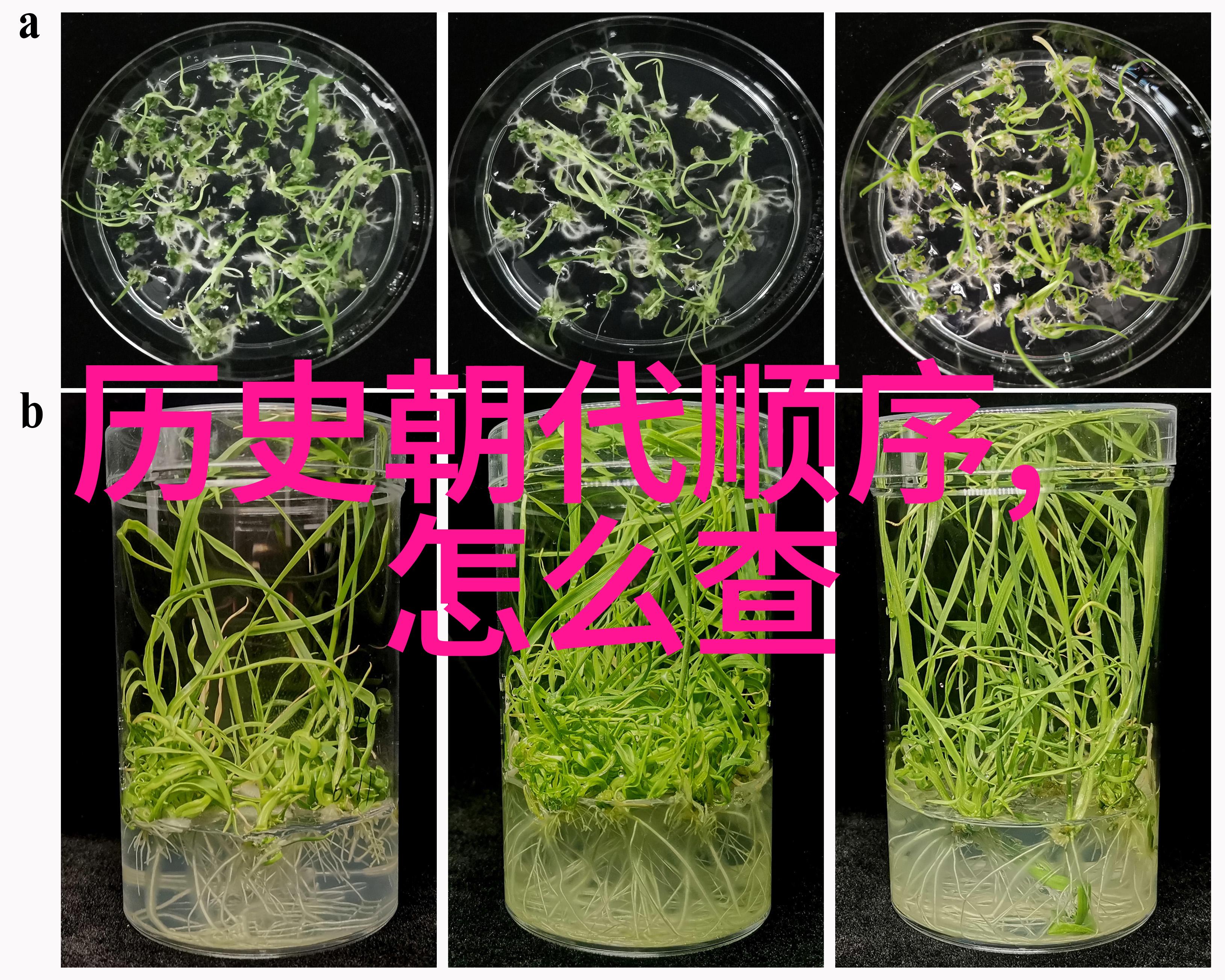 庄园游戏下载我要成为这款游戏里的大地主