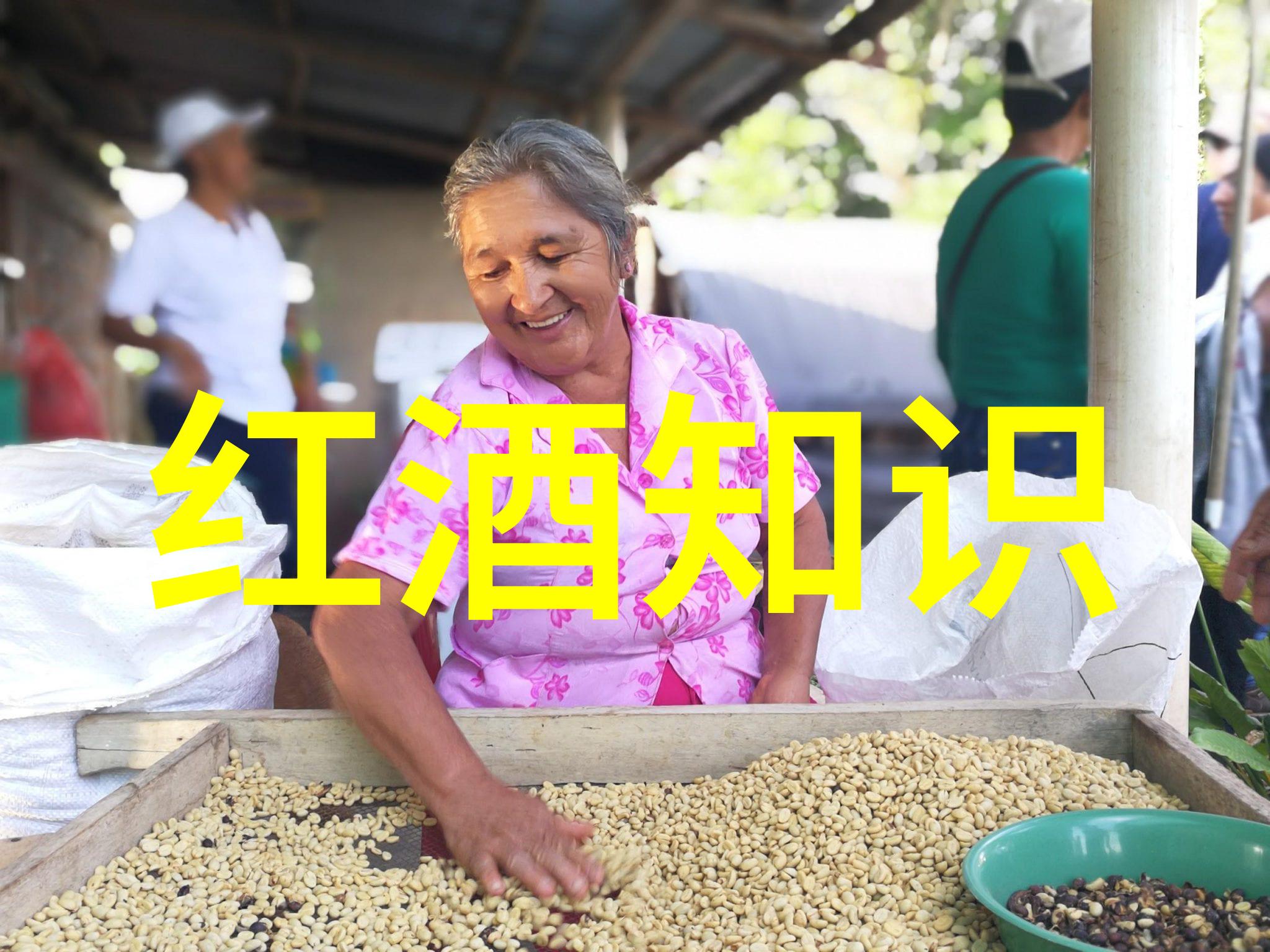 养育动物的智慧兰州庄园牧场是如何管理动物的