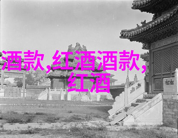 玫瑰花有多少品种探秘这朵神秘的恋爱之花