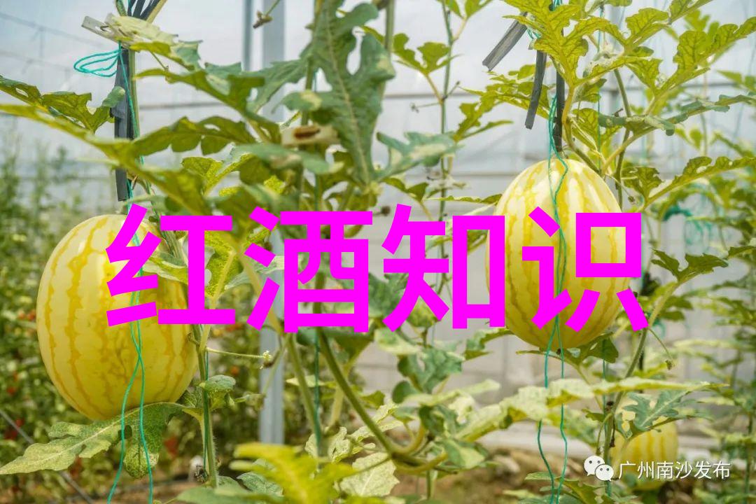 如何选择适合自己的指数基金产品