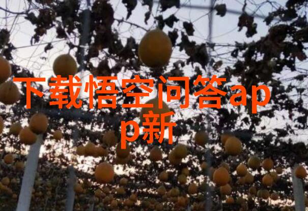 情感共鸣探索杭帮菜与葡萄酒的完美融合