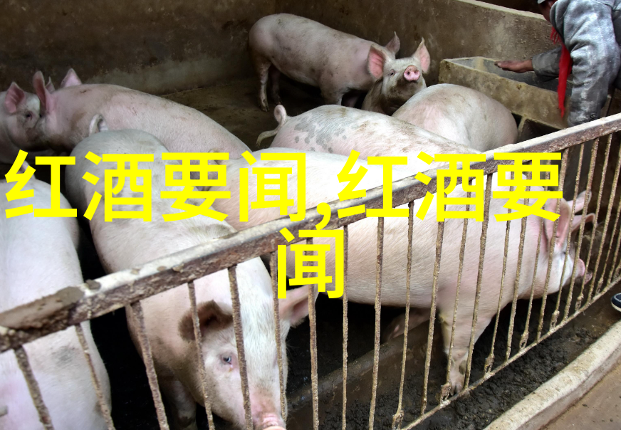 猫咪品种鉴定网站揭秘宠物猫的血统密码