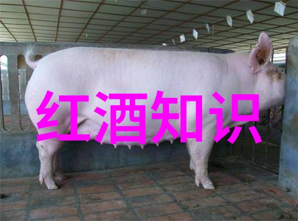 爱情与喝酒的关系似肺癌两者虽非同类但共有着不可忽视的联系