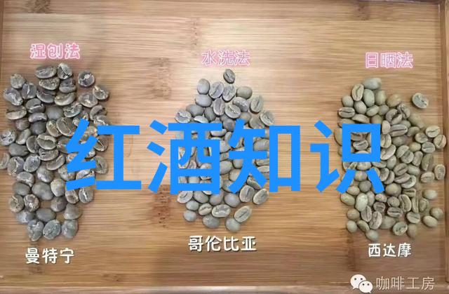 原来河北周边游景点也能搭配葡萄酒体验社会文化魅力