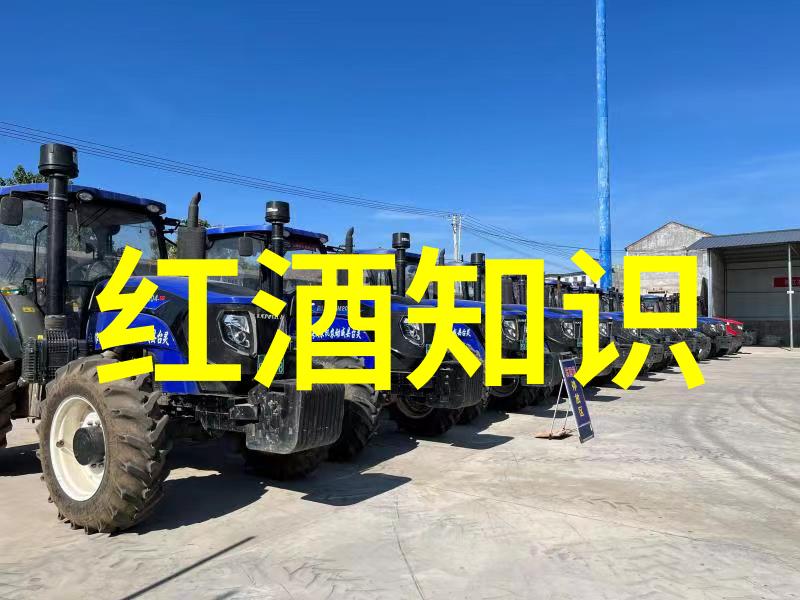 主题我是数字收藏品的主人了从虚拟宝石到未来财富的奇妙旅程