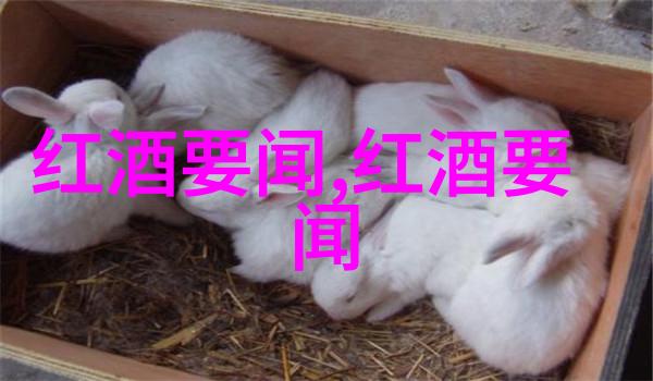 品味生活高级猫咪品种图片与名字精选集锦