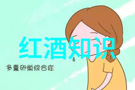 阿根廷门多萨产区红酒之乡的葡萄丰收与酿造传统