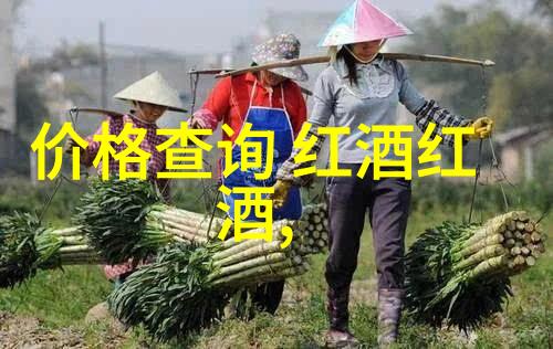 猫咪品种科普我和我的小可爱揭秘最受宠爱的10个猫咪品种