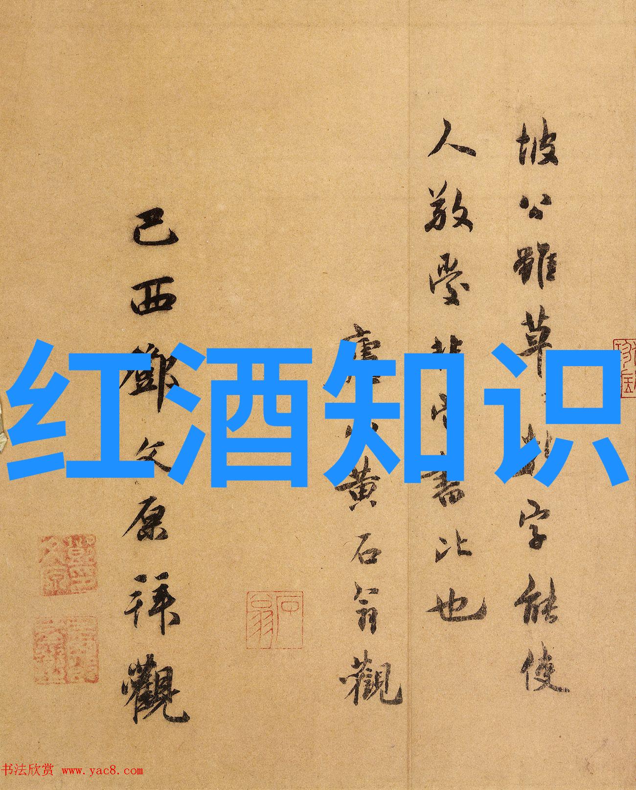 上海周边城市的秘密之旅揭开未知篇章