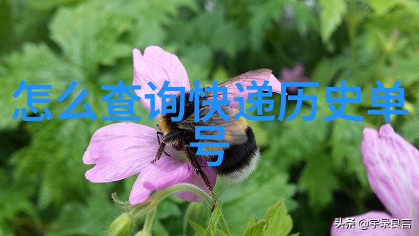 重生神座之月神从星辰的裂缝中归来的永恒