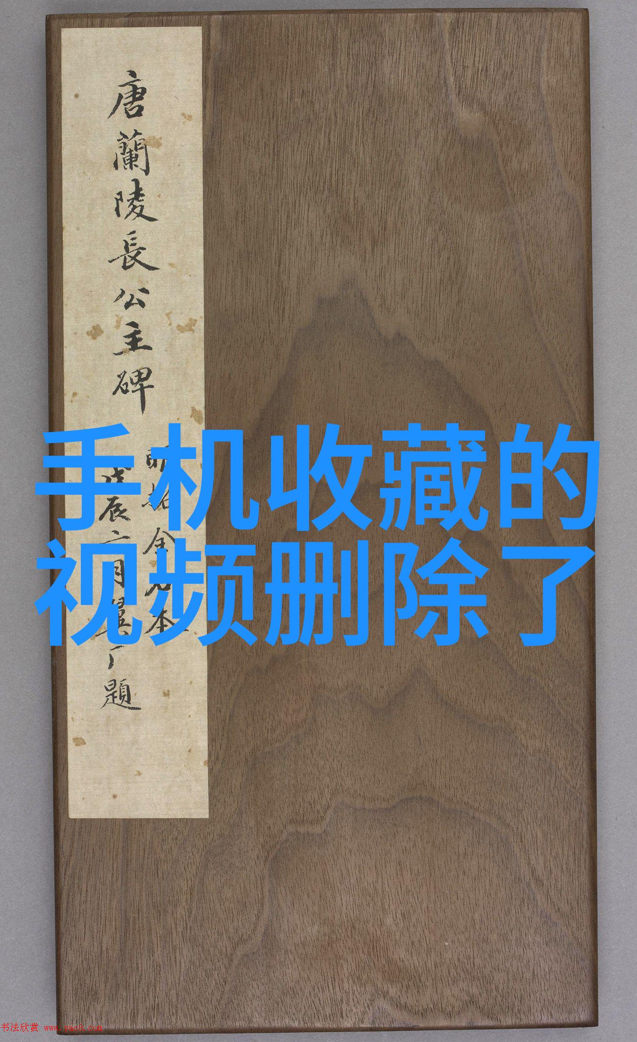 绚彩世界卡通美女的迷人魅力