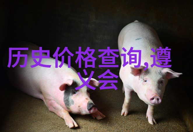 保护隐私安全人工智能问答网站应遵守哪些法规