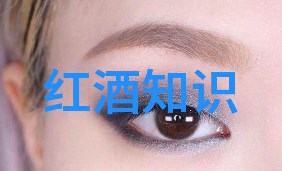 探究12348法律援助制度中的免费性质基于公平正义的法律服务保障
