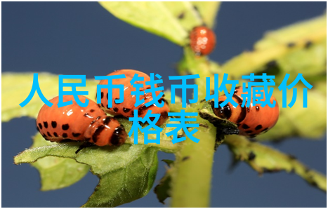伯爵庄园我在英国的田野里遇见了时间的守护者