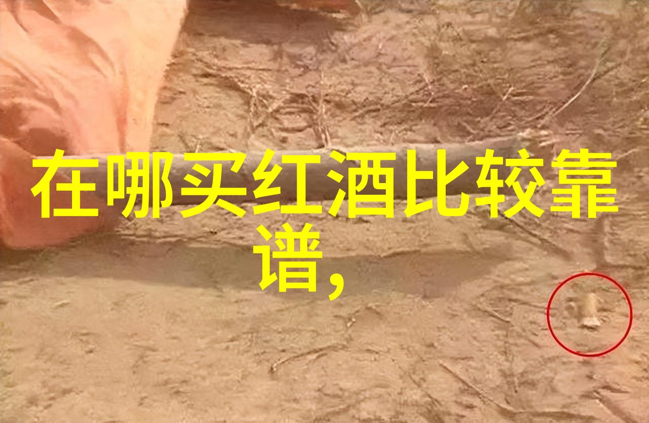 上海周边的秘密宝藏揭秘那些让你笑中带泪的好玩之地