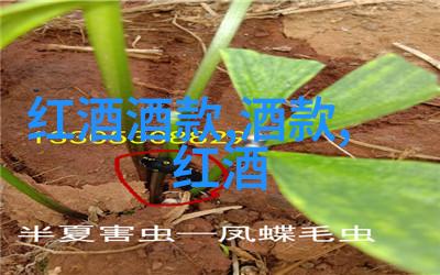 稀有货币的价值提升历史事件对钱币价格的影响