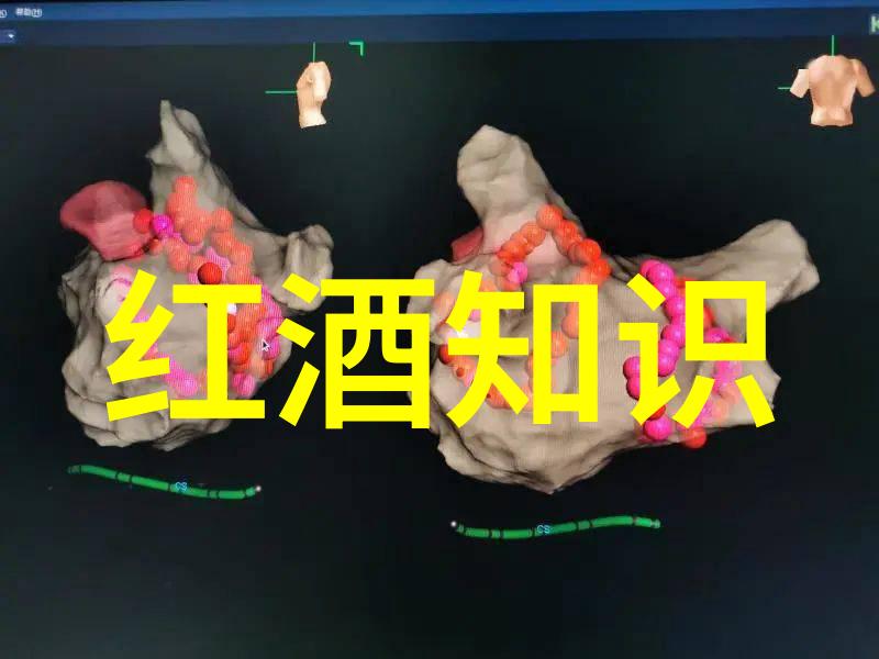 英国短毛