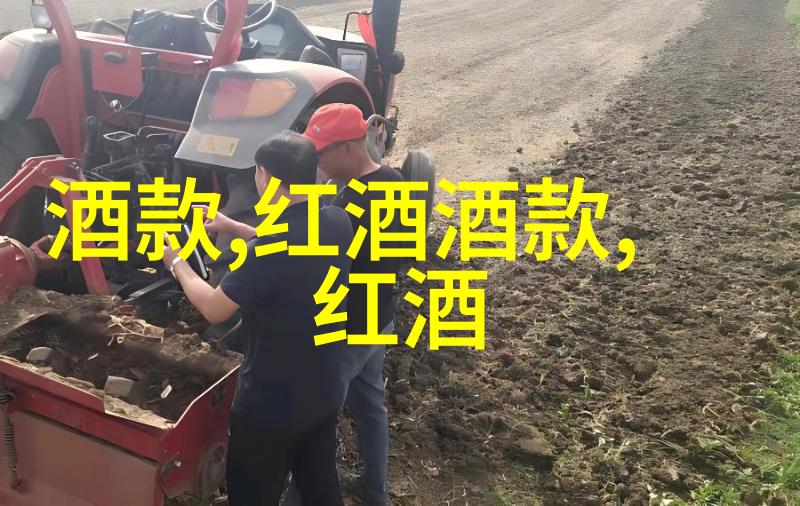 追忆与醉心探索Chanson Cheval Blanc红酒的诗意篇章