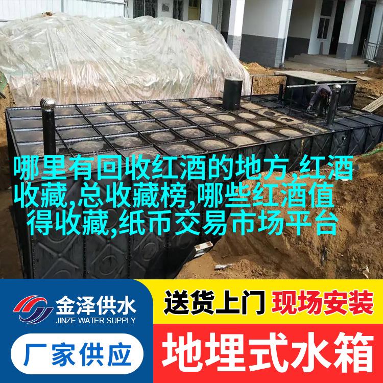 斜目波斯猫