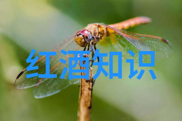 捕捉瞬间素描中的真人照片故事