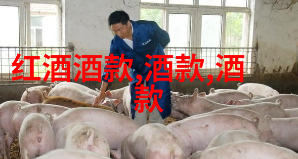 下载爱收藏-我的数字宝库如何高效下载并管理收藏品