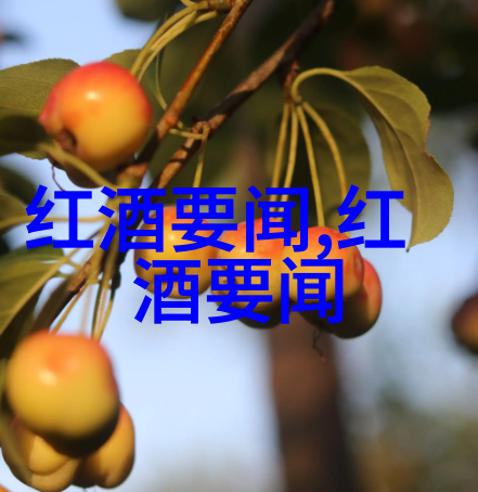 艺术品收藏中的葡萄酒风土纳帕与索诺玛的双重奏鸣