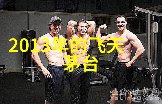 欧洲古典之冠探秘十大宫殿的神奇与荣耀