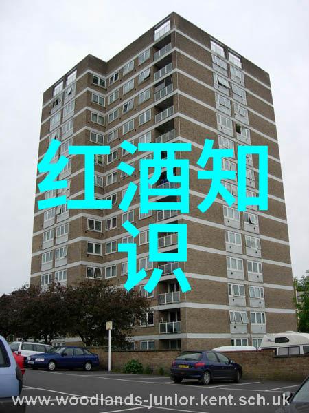 夕阳余晖下的遥望-斜阳若影txt下的故乡情怀