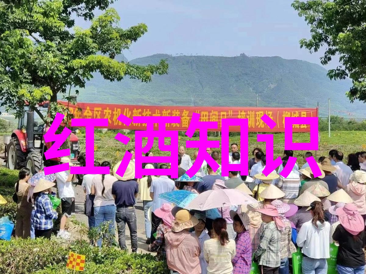 河北周边游景点推荐-探索平原美河北周边必游古迹自然风光与文化体验