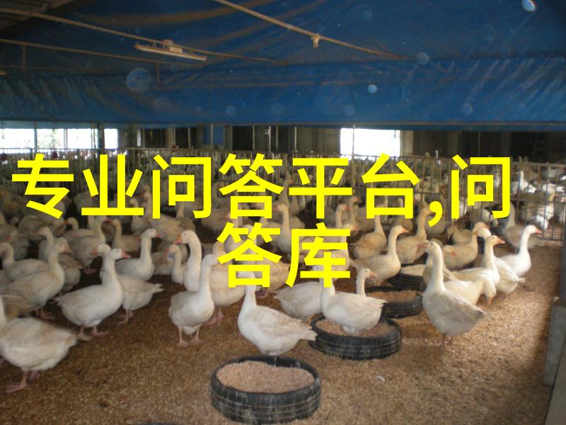 华夏收藏网官网登录我是不是也该给自己的收藏宝库搞个系统了
