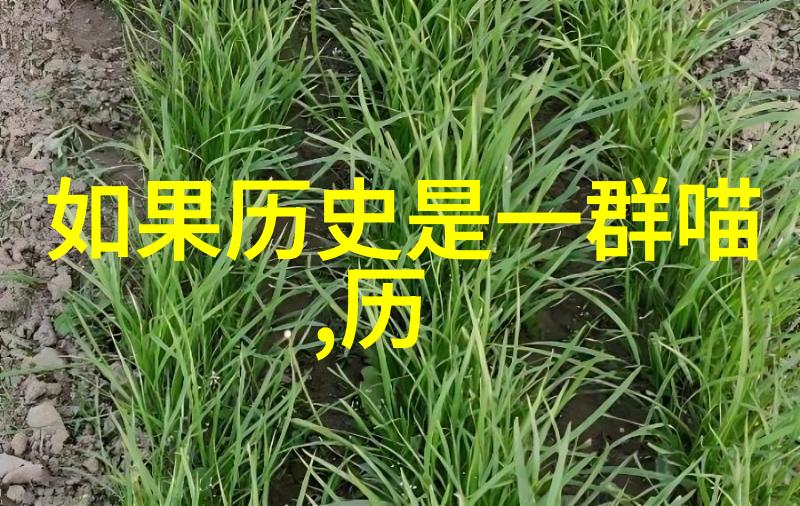 梦幻庄园赚钱指南从入门到精通