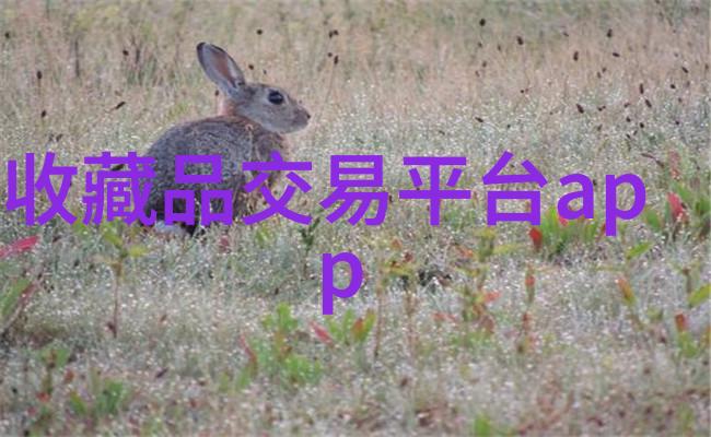 漫画教程手绘漫画人物 - 从基础到精通掌握手绘漫画人物技巧的完整指南