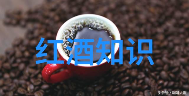 历史问答题大全解揭秘起泡酒是否真的能醒酒