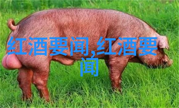 智慧的海洋深度探索题库答题软件的无限可能