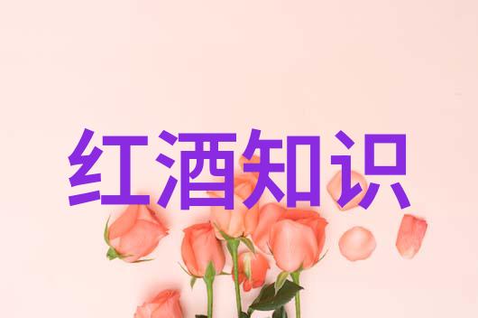 夏日炎炎探秘全球8月最佳旅游城市推荐
