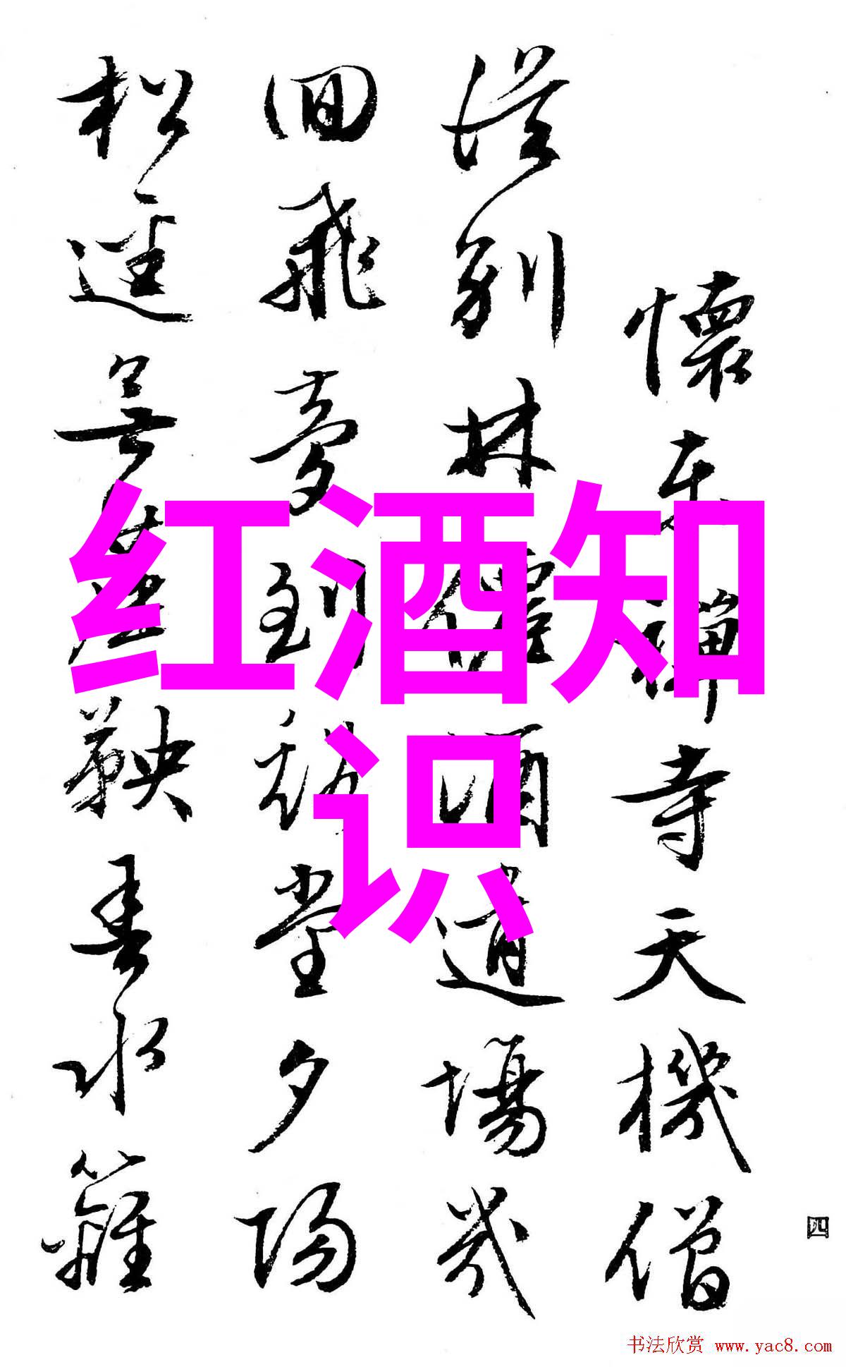 高贵的轮廓捕捉男神的魅力