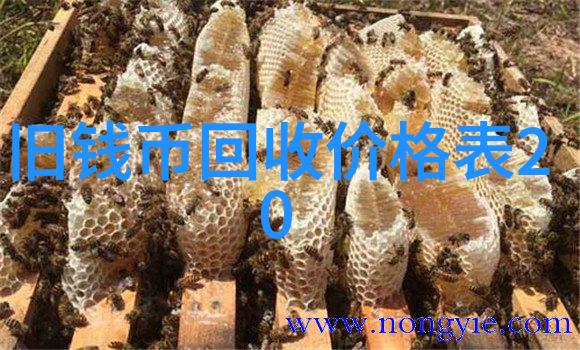 AI智能问答免费解锁知识之门智慧触手可及