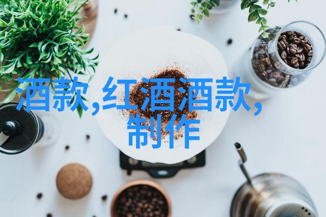 我来告诉你玫瑰花有多少种我们一起数一数吧