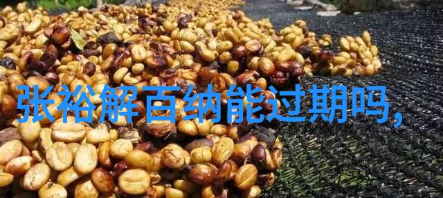 黄河流域粮食主产区我在黄土高原上种下的每一粒金子