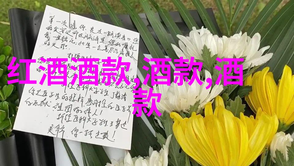 猫的种类大全揭秘全球最受欢迎的家猫与野生品种