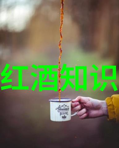 红酒的世界解密品种与酿造秘诀