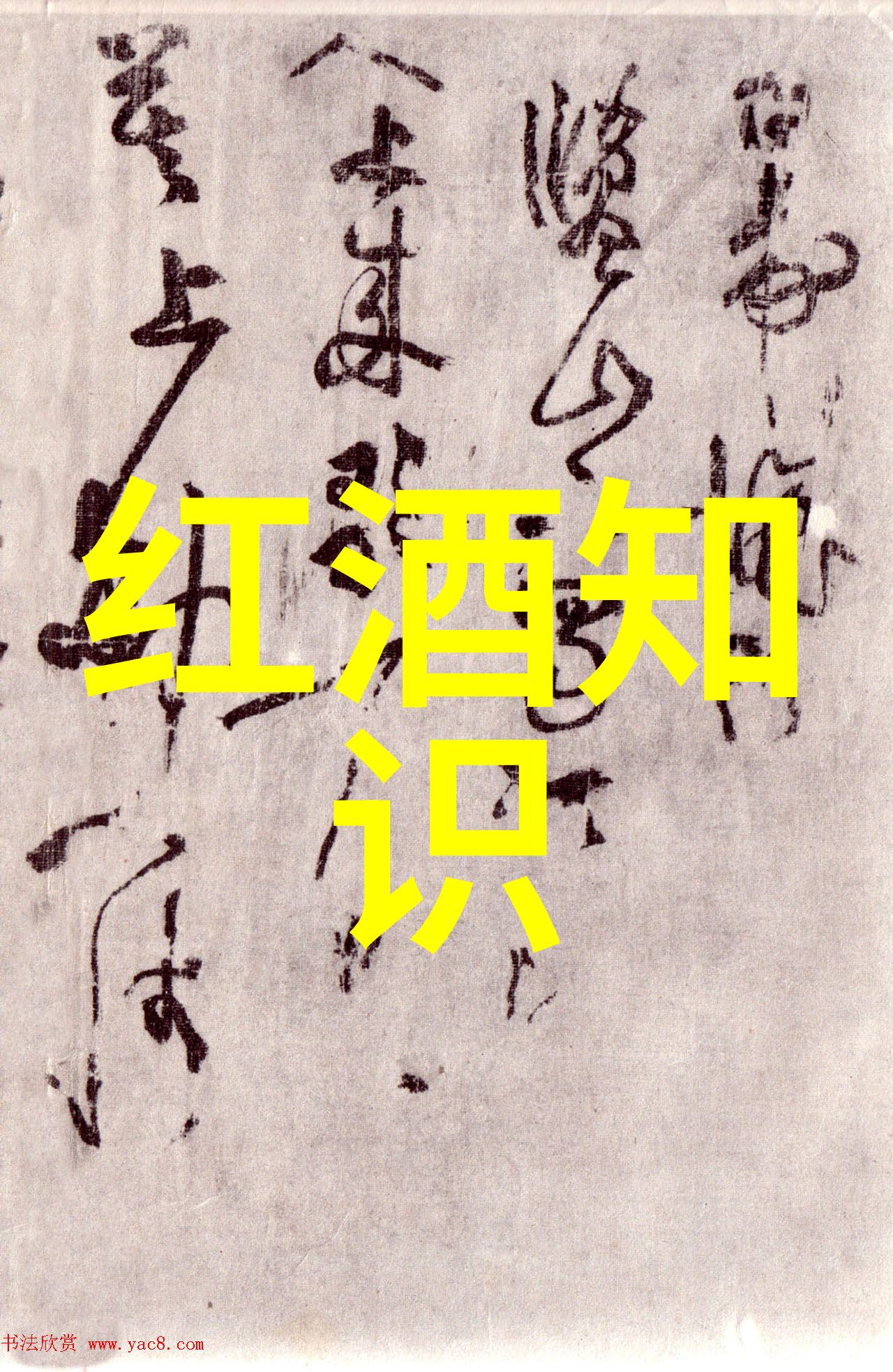 探索卡通世界人物形象的魅力与深度