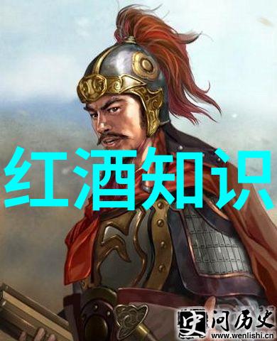 文化与葡萄酒-醉心传承解析文化与葡萄酒文化的内涵