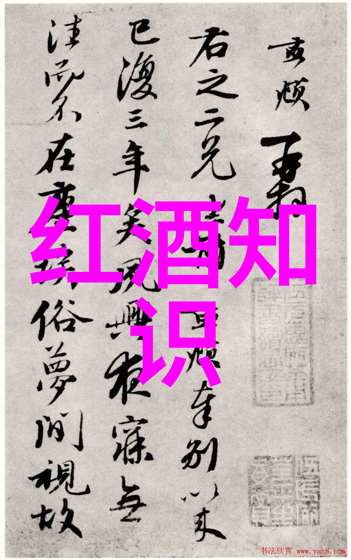 上海周边景点排名人物品味白酒田螺的趣味制作