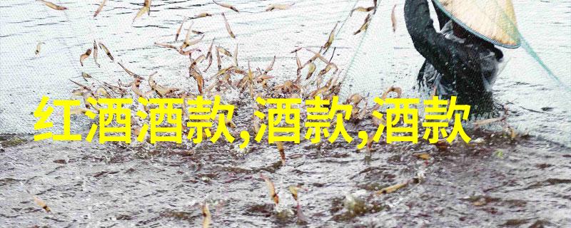 上海周边景点排名 - 探索金陵风情揭秘上海周边最美景点TOP10