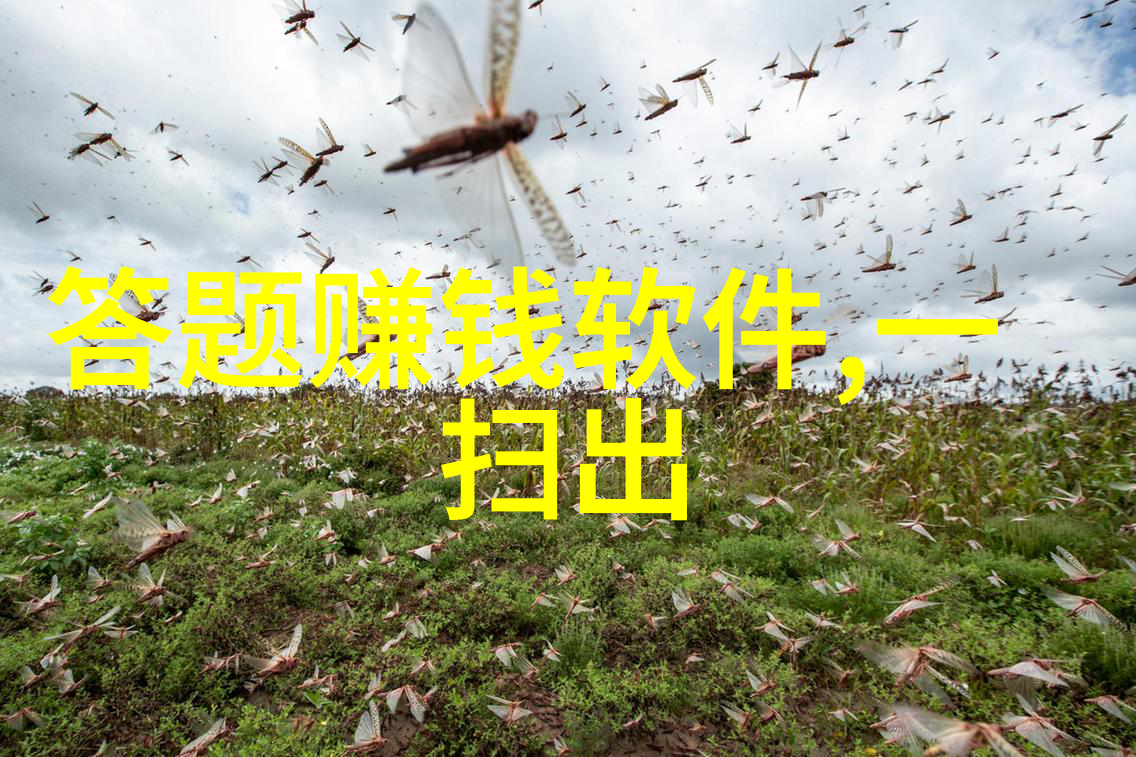 钱币收藏价格表铸就历史的价值与名贵
